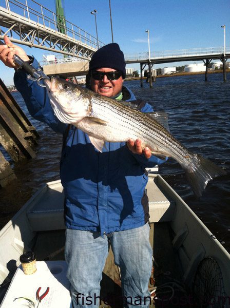 Capt. Shawn Antley with a healthy striped bass that bit a bucktail jig in the Cape Fear River near downtown Wilmington while he was fishing with Jason Fralin.