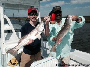 Tim Lens, of Boston, and David Duppstadt, of Little River, SC, with a pair of red drum they hooked near Tubbs Inlet while fishing with Capt. Patrick Kelly of Capt. Smiley's Fishing Charters.