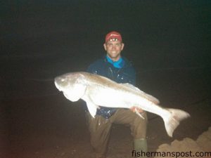 Joe Marr with a citation red drum that bit a cut bait in the surf at Cape Point. Photo courtesy of Tightline Charters.