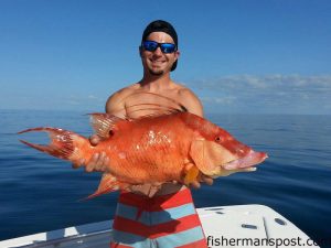 Michael Bradley, of Wilmington, with a hogfish that bit a Blue Water Candy Roscoe jig near in 170' of water near the Nipple.