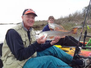 Jerry and Nick Stebanko, from CA, with a pair of slot red drum they hooked on Gulp baits beneath popping corks while fishing the Pamlico Sound with Rob Alderman of Outer Banks Kayak Fishing.