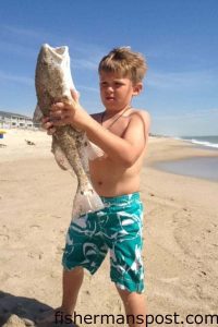 Chris Shoemaker (age 8), of Winston-Salem, NC, with a 25" red drum that struck frozen finger mullet in the surf at Carolina Beach.