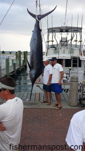 Capts. Randy and Butch Bryant with the 549.20 lb. blue marlin that anchored the second win in eight years in the Swansboro Rotary Blue Water Tournament for the Morehead City-based "Maggie" crew. The big fish bit a purple/black trolling plug in 105 fathoms off Beaufort Inlet.