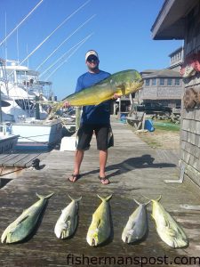 Edwin Barnes with a citation bull dolphin he hooked while trolling a weedline 30 miles off Hatteras Inlet on the "Whatever."