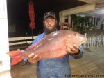 Robert Auton with a 14 lb., 2 oz. mutton snapper that bit a Boston mackerel offshore of Beaufort Inlet while he was fishing on the headboat "Capt. Stacy."