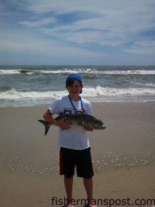 Grant Mayo, of northern VA, with a citation bluefish that bit a cut bait in the Cape Hatteras surf. Photo courtesy of Tightline Charters.