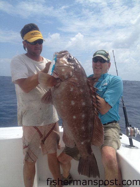 Tim and Don Hagerich with a 55 lb. snowy grouper that bit a vertical jig in 750′ of water off Hatteras Inlet while they were fishing with Capt. Andy Piland on the “Goodtimes.”