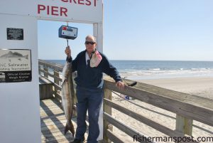 Dave Roseman with a 26 lb., 5 oz. cobia that fell for a live bait off the end of Ocean Crest Pier.