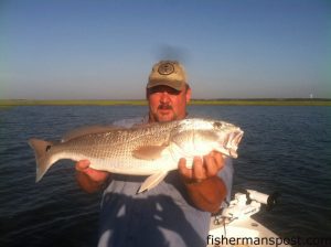 David Ledford, from KY, with a 30" red drum he caught and released near Bear Island after it inhaled a chunk of menhaden. He was fishing with Capt. Rob Koraly of Sandbar Safari Charters.