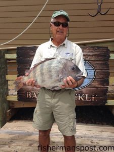 John Furman, of Pine Knoll Shores, with a 10.54 lb. sheepshead that bit a live sea urchin near the Morehead port wall. Weighed in at Chasin' Tails Outdoors.