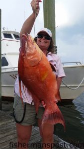 Kathy Allred with a hogfish that bit Boston mackerel near some bottom structure 40 miles off Wrightsville Beach while she was fishing with Capt. Dave Gardner on the headboat "Vonda Kay."