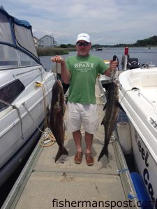 Randy McKnight, of Winston-Salem, with a pair of cobia he and Eddie Rowell landed after they struck live menhaden near the Jungle.