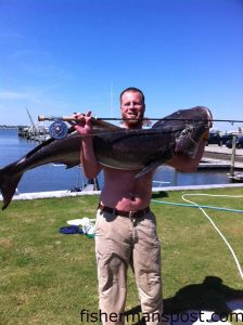 Matthew Sadler with a cobia that struck a fly on 10 wt. tackle on the east side of Cape Lookout shoals.