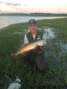 Gary Pavlus, of Moyock, NC, with a 26" speckled trout he caught and released in the sound behind Hatteras Village. A Storm swimbait fooled the big speck.