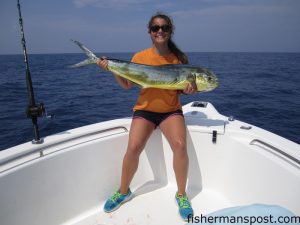 Hayden McCarter with a dolphin she hooked on her first trip offshore. The 'phin fell for a pink/white-skirted ballyhoo while she was fishing near the Same Ol' Hole with Lowell Mason on the "Sarah's Worry Too."