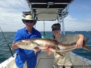 Brett and Nathan Herrmann with a 45 lb. cobia that bit a live menhaden on the bottom near Cape Lookout.