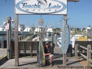 Matthew McKight, of Rhinebeck, NY, with a massive 73 lb. dolphin that he hooked while trolling the Gulf Stream off Hatteras Inlet aboard the "Big Tahuna" out of Teach's Lair Marina.