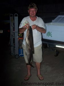 Robert Cindric with the 18.4 lb. cobia that won him $1000 in the SE King Mackerel Club Ruler of Kings tournament on Carolina Beach Pier.