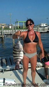 Staci Edwards, from Washington, NC, with a citation 10 lb. sheepshead that bit a live crab near Harkers Island. Weighed in at the Harkers Island Fishing Center.