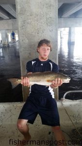 Zach Driver with a 24" red drum that struck a live finger mullet under the Swansboro bridge.