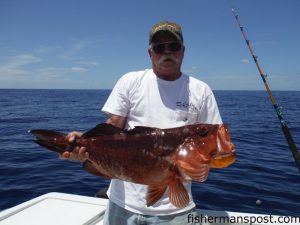 Doug Bailey with a red grouper that bit squid near some bottom structure in 120' of water offshore of Frying Pan Tower. He was fishing out of Oak Island with Alan Hogan on the "Too Much Fun."