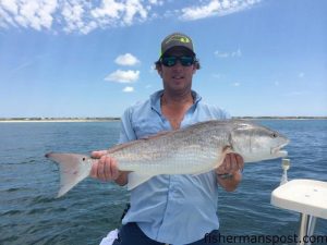 Tim Capps, of Raleigh, NC, with an over-slot red drum that bit a live bait near Bald Head Island while he was fishing with Capt. Mason Ward of Cape Fear Charter Co.