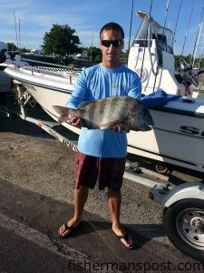 David Batson, of Burgaw, NC, with an 8 lb. sheepshead that bit a live fiddler crab near some structure at Topsail Beach while he was fishing on the "Seabacon."