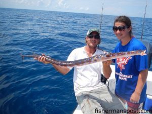 Capt. Rob Koraly, of Sandbar Safari Charters, and Madi Wehner, of Canton, OH, with a 6' cornetfish that bit a live pinfish near WR2.