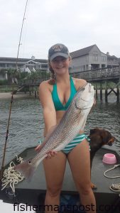 Jamie Smith, of Wilmington, with a 26.5" red drum she hooked on a live mullet near a Figure Eight Island dock.