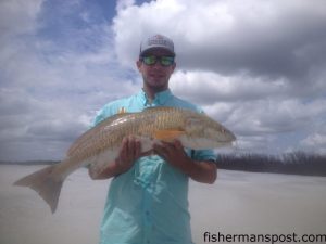 John Gavin, of Charlotte, NC, with a red drum that struck a chunk of mullet on a Carolina rig while he was kayak fishing near Mason's Inlet.