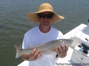 Mac McLemore with a Topsail Island red drum that struck a soft plastic shrimp in the sound at Topsail while he was fishing with Capt. Jason Dail of Silverspoon Charters.