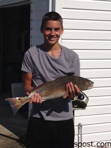 Jackson Smith, of Leesburg, VA, with a 26" red drum that struck a Carolina-rigged croaker while he was kayak fishing a sea grass flat in Bogue Sound.