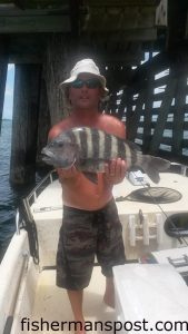 Carter Edwards, of Washington, NC, with an 8.4 lb. sheepshead that he hooked on a live sea urchin while fishing near Harkers Island.