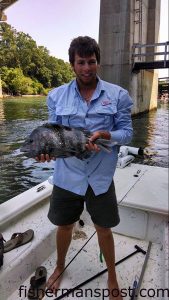 Turner Perkerson with a citation sheepshead that bit a live fiddler crab under Snows Cut bridge.