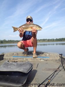 Weston Russel, of Belville, NC, with a 24" red drum that struck a Carolina-rigged finger mullet in the Cape Fear River.