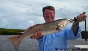 Don Henderson with an upper-slot red drum he hooked on a topwater plug while fishing the lower Cape Fear River with Capt. Mike Pedersen of No Excuses Charters.