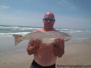 Daniel Fortner with a 26" red drum that struck shrimp on a double-drop bottom rig in the Topsail surf.