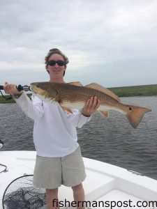 Eli Tanner, of Raleigh, with a 31" red drum that inhaled a dead menhaden int he Neuse River near Oriental.