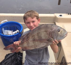 Jackson Wright (age 8) holds an 8.2 lb. sheepshead that bit a live finger mullet near some inshore structure at Surf City. Weighed in at East Coast Sports.