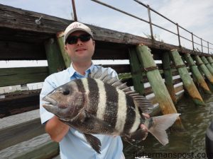 Tyler Fritz, of Wilmington, with a sheepshead that struck a live fiddler crab beneath the Surf City bridge.