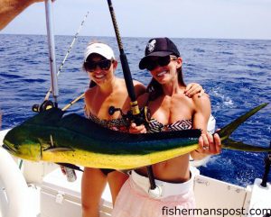 Michelle and Melissa Cherry with Michelle's first dolphin, a cow that bit a ballyhoo behind a black/red chugger 35 miles off Topsail Inlet while they were fishing with Tim Powell on the "Timtation."