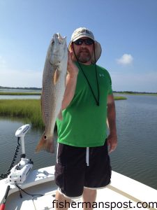 John Lewis with a red drum that bit a live finger mullet in a Swansboro-area marsh.