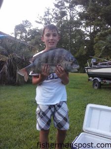 Noah Hargett, of Pollocksville, NC, with a 9 lb., 15 oz. sheepshead that struck a fiddler crab at some inshore structure near Swansboro.