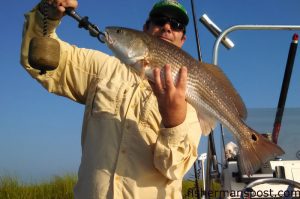 Adam Meyer, of Wells Marine Insurance, with two of the three species that led to an inshore slam while fishing the southern Cape Fear River with Capt. Mike Pedersen of No Excuses Charters and Riley Rods.