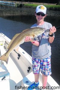 Andrew Smith, of Chattanooga, TN, with a 31" red drum that struck a Carolina-rigged finger mullet in Calabash Creek while he was fishing with Capt. Mark Dickson of Shallow Minded Inshore Fishing Charters. 