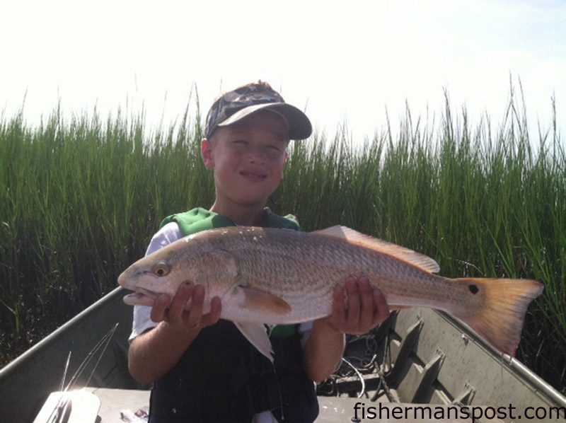 Qwen Gorchess (age 7) with his first red drum, a 25″ fish that fell for a live finger mullet near Wrightsville Beach.