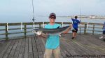 Taylor Wiley, of Sneads Fery, with a 24.3 lb. king mackerel that attacked a live threadfin herring off Seaview Pier.