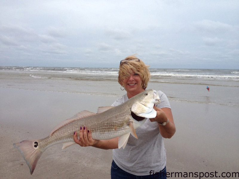 Benanne Stiens, of Mebane, NC, with a red drum she hooked on cut mullet from the surf near Bear Inlet.