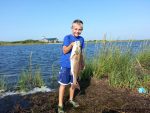 Henry Hoffman with a red drum that struck a Gulp shrimp near the Bodie Island lighthouse. Photo courtesy of TW's Tackle.