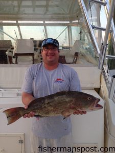 Guy Whilden with a gag grouper that inhaled a ballyhoo-tipped jig near the Big 10/Little 10 while he was fishing with Bill Hogg on the "Another Option."